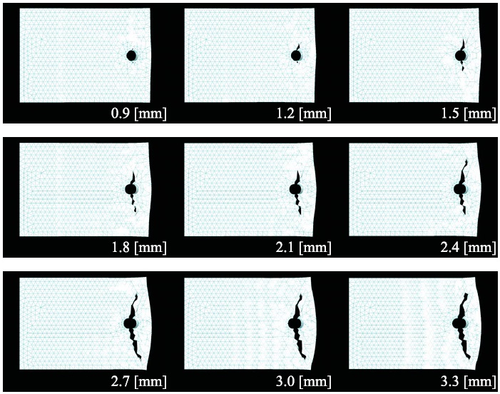 Fracture simulation